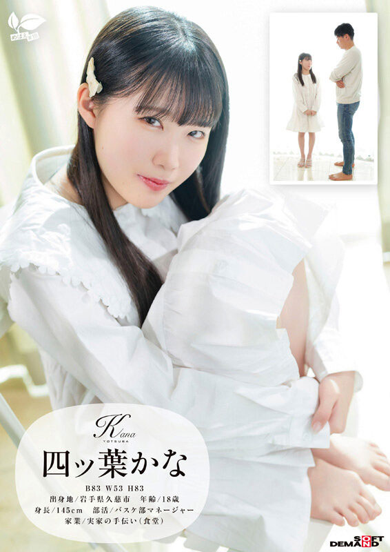 四ツ叶かな(四叶香奈)作品号sdab-330介绍及封面