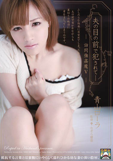 S1传说美少女《青山萝拉》精选作品号推荐介绍及封面